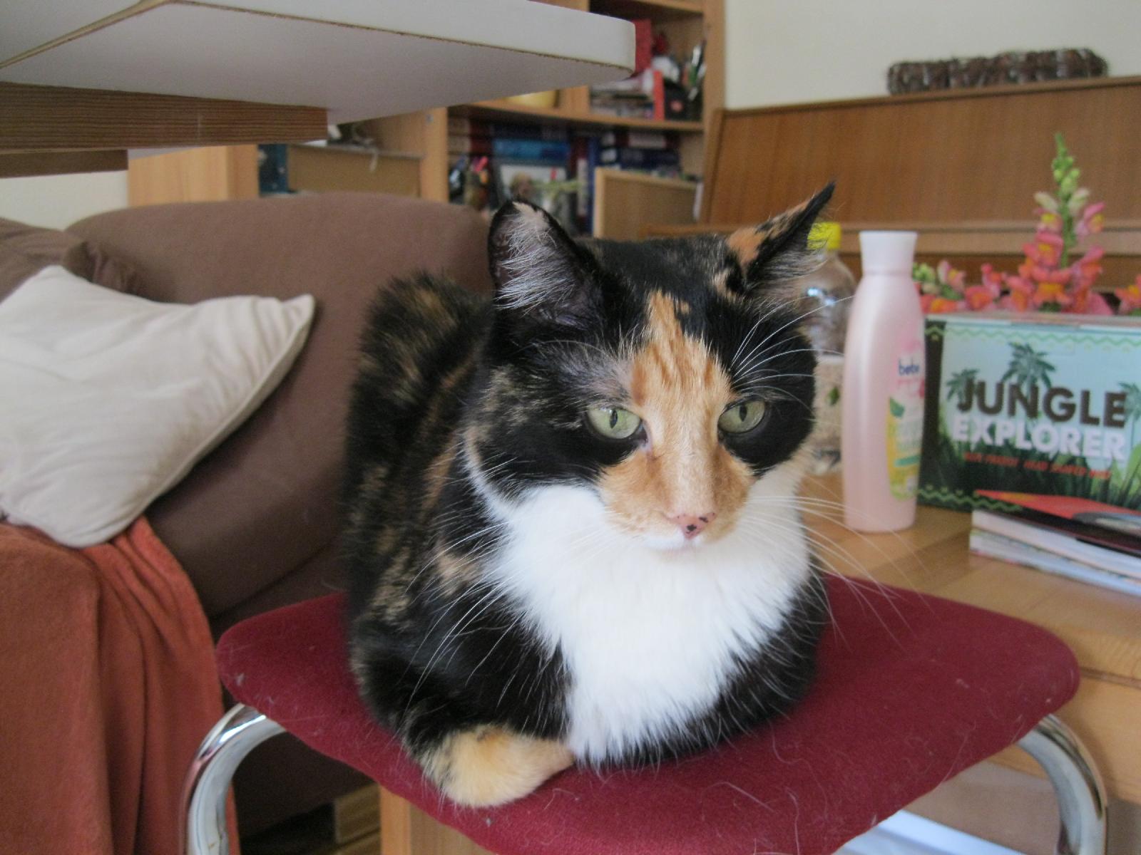Mimi