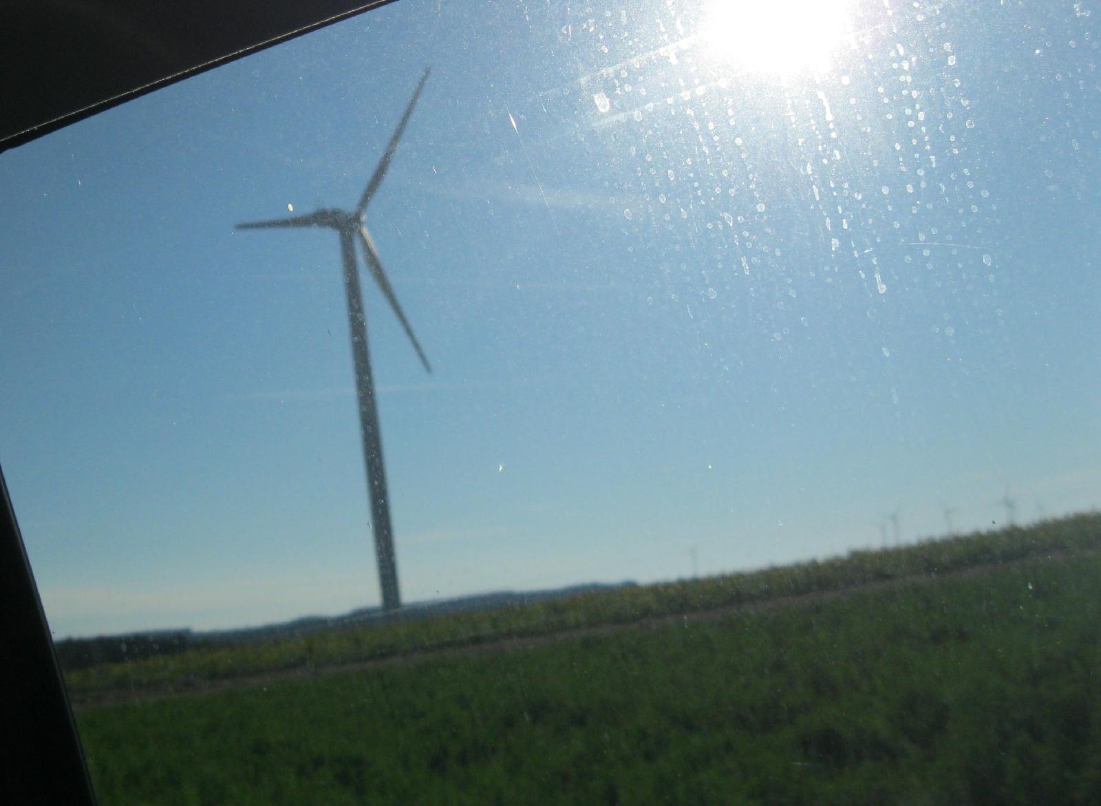 Windmill in a corn field