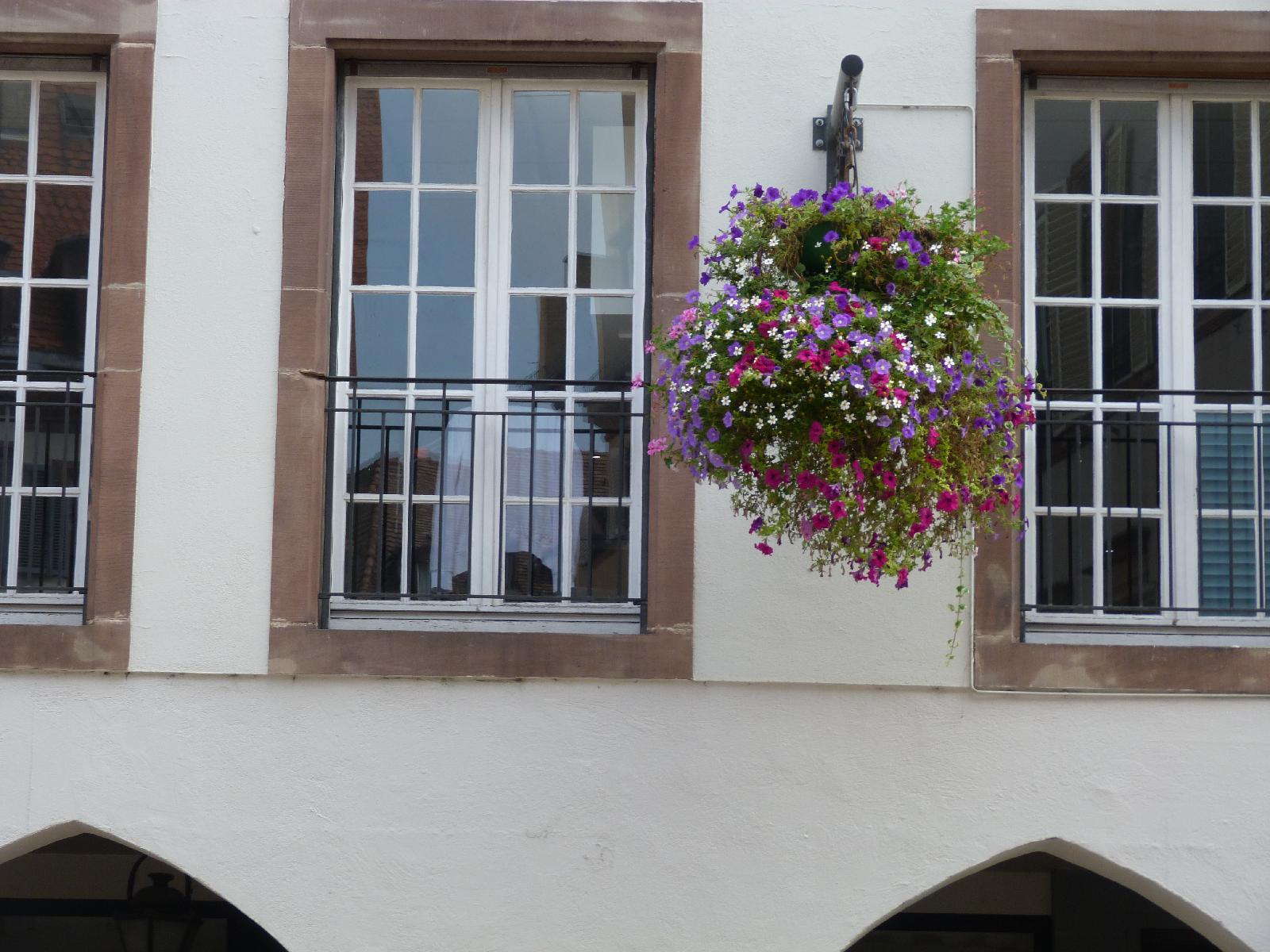 I wonder who waters all these hanging baskets