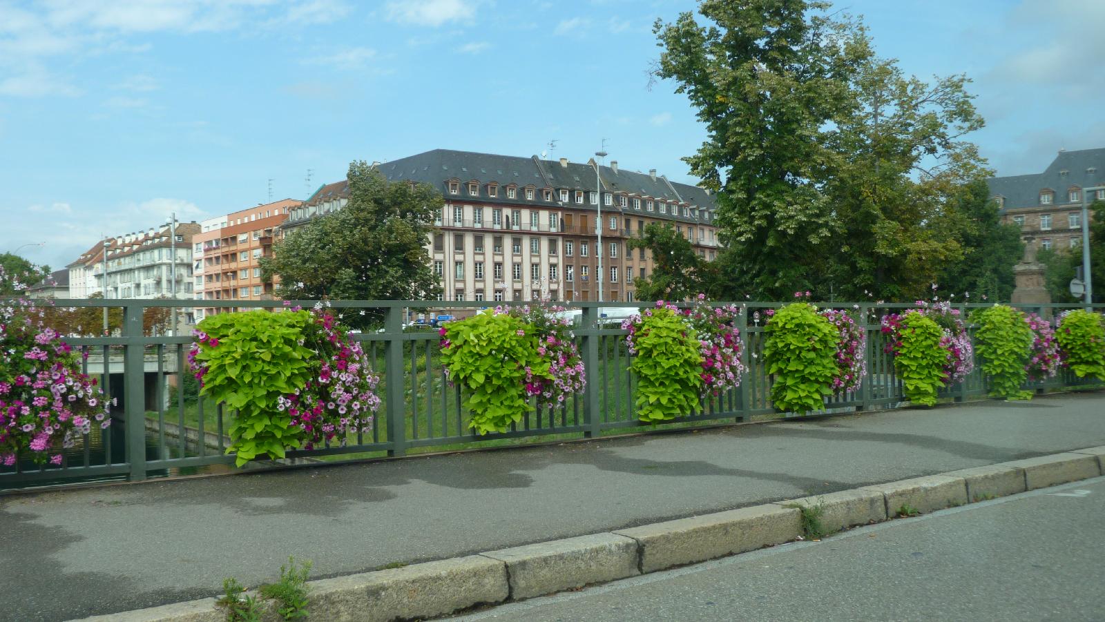 Bridge flowers