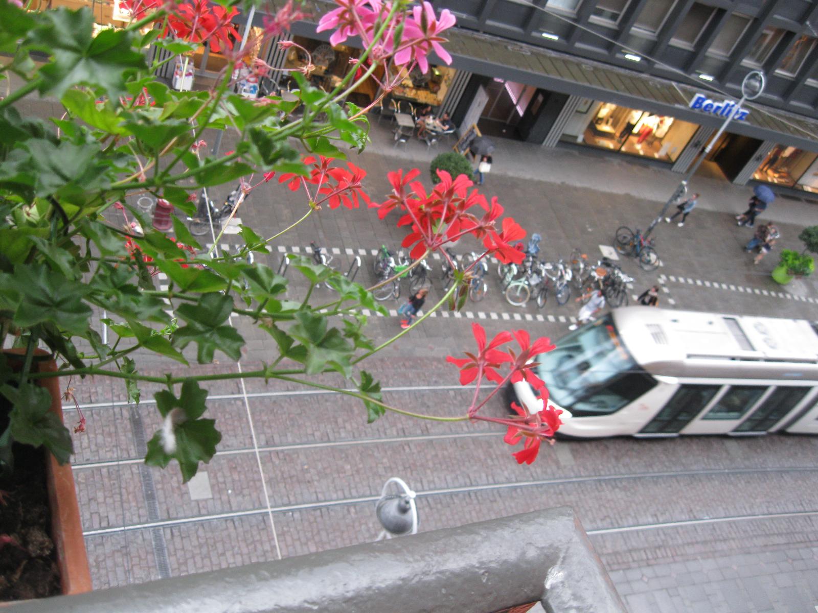 The tram rails are right below our blaconey.