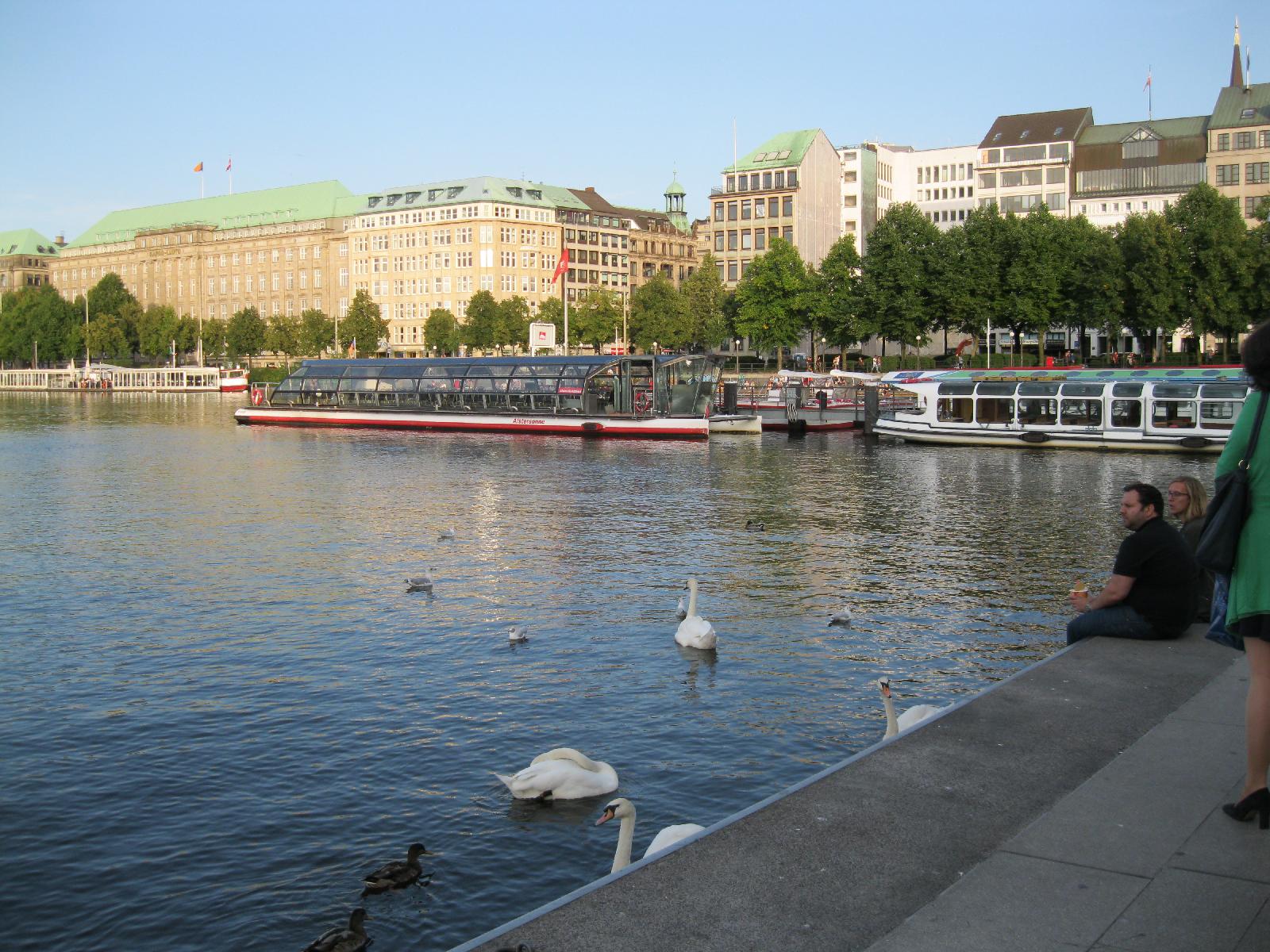 Swans and Moored Tourboats