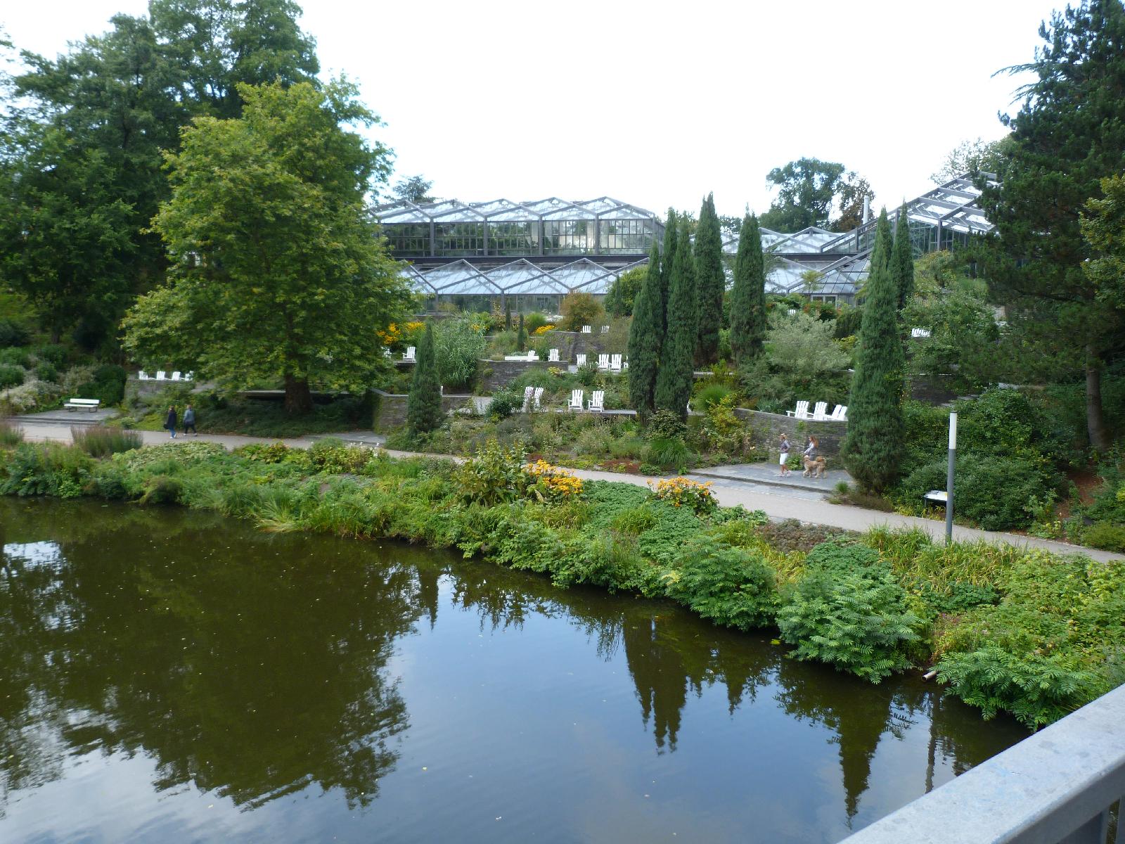 Cluster of greenhouses